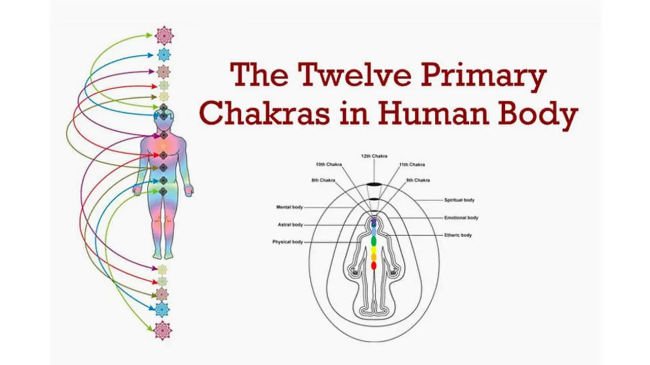 wealth-dna-code-chakra